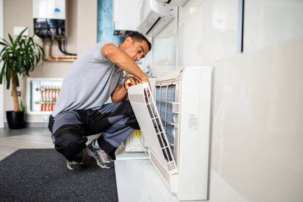 Best Professional Duct Cleaning Services  in Vincent, AL