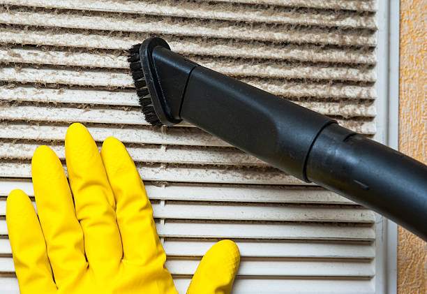 Best Professional Duct Cleaning Services  in Vincent, AL